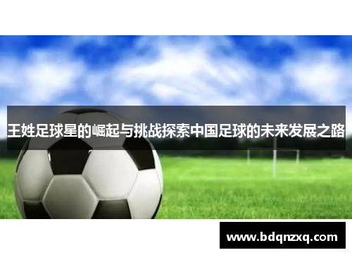 王姓足球星的崛起与挑战探索中国足球的未来发展之路