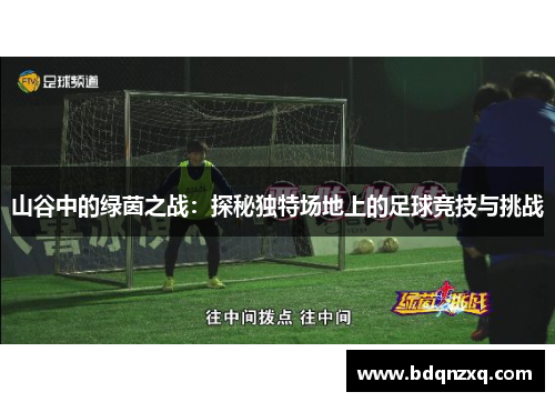 山谷中的绿茵之战：探秘独特场地上的足球竞技与挑战