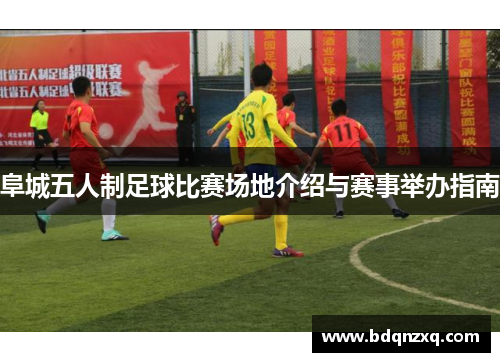 阜城五人制足球比赛场地介绍与赛事举办指南