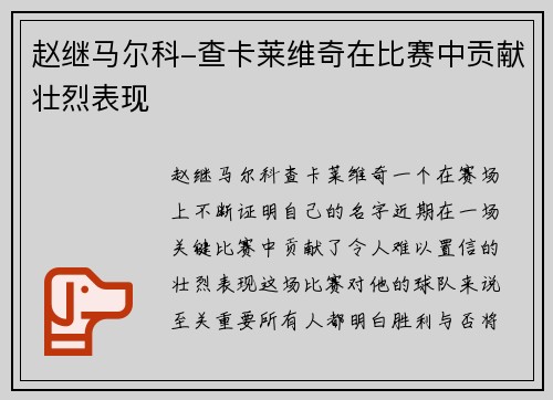 赵继马尔科-查卡莱维奇在比赛中贡献壮烈表现